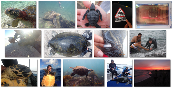 # Galapagos: A Marine Biologist's First Encounter...
