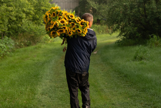Weatherproof Your Homestead: Regenerative Farmi...