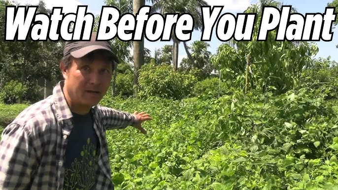 From Barren to Bountiful: Unlocking Homestead P...