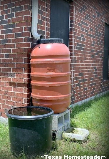 Turn Rainfall into Riches: Build a Beginner-Fri...