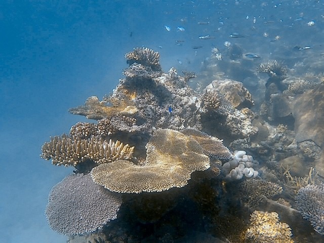 Aerial view of the Yasawa Islands showing the turquoise waters and fringing coral reefs