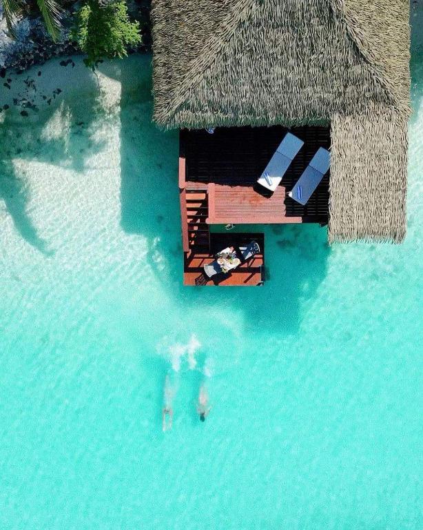 Aitutaki Overwater Bungalow