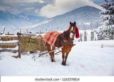 Wide-angle shot of the Carpathian Mountains at sunset, showcasing snow-covered peaks and a traditional Romanian village in the valley below. Focus on golden hour lighting and sharp details.