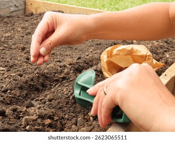 hands planting seeds seedling tray