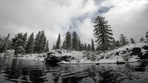 A person snow kayaking down a snowy slope, surrounded by trees and mountains near Lake Bohinj. The kayak is carving a path through the snow, creating a spray of powder.