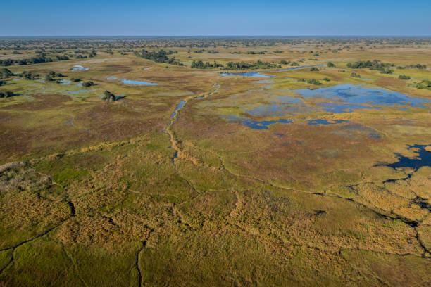 # Finding Myself in the Okavango: A Journey of Hea...