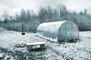 Extend Your Harvest: Building Cold Frames for S...