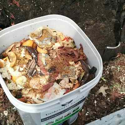 A well-maintained Bokashi Composter—a small, lidded bucket with a spigot—alongside a handful of Bokashi bran.