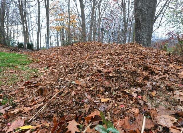 Layered Compost