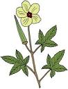 From Seed to Supper: Saving Seeds for a Bountif...