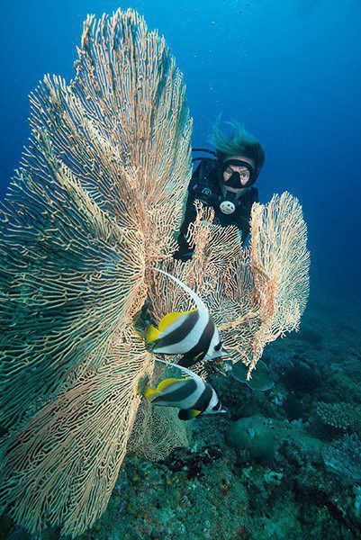Anya diving in Nosy Be