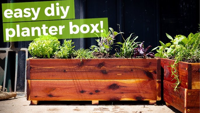 From Lawn to Lunch: My Weekend Rainwater Harves...