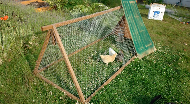 Wheels attached to the bottom of the chicken tractor, making it easy to move around the yard