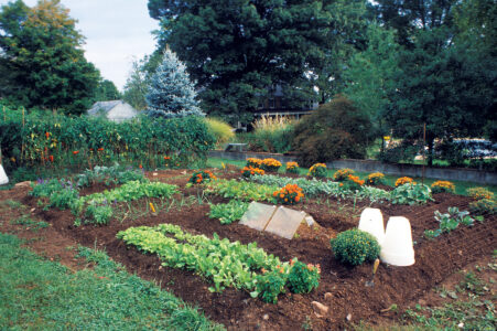 No-till garden beds wood chips compost