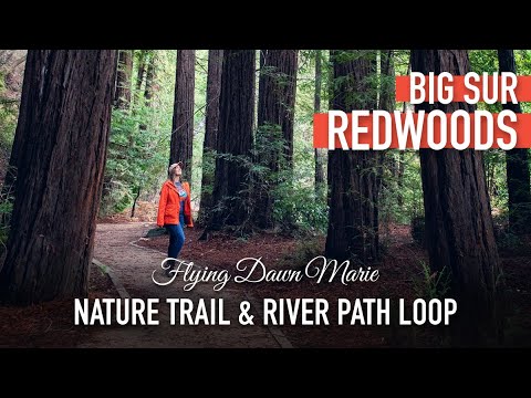 The Big Sur River flowing through Pfeiffer Big Sur State Park