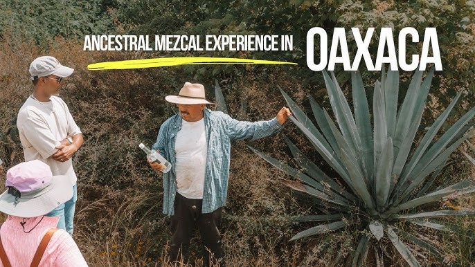 Mezcal bottles in Oaxaca