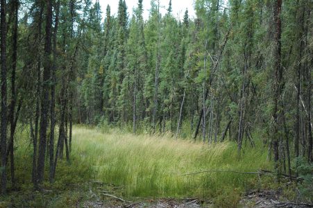 Lake Superior and the beach at Big Bay State Park on Madeline Island, with a rocky shoreline and clear water