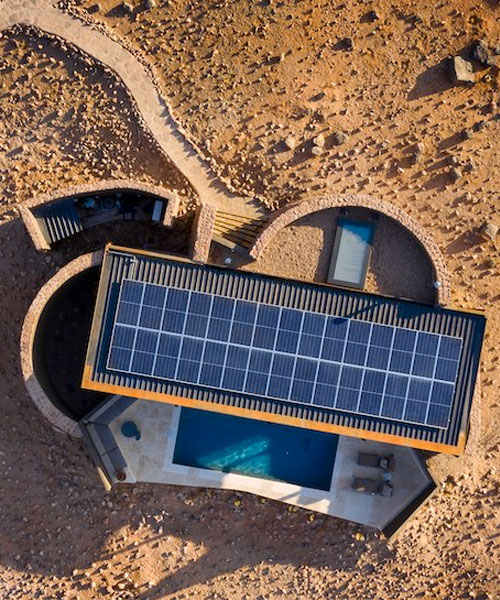 Save the Rhino Trust