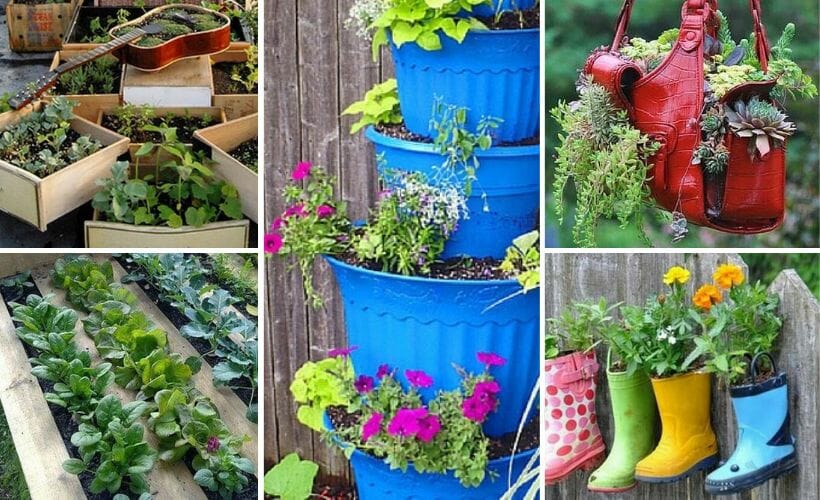 Grandma's Wisdom: Building a Self-Watering Plan...