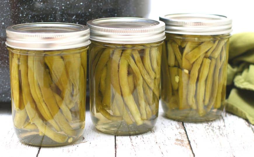 A bountiful green bean harvest in the garden