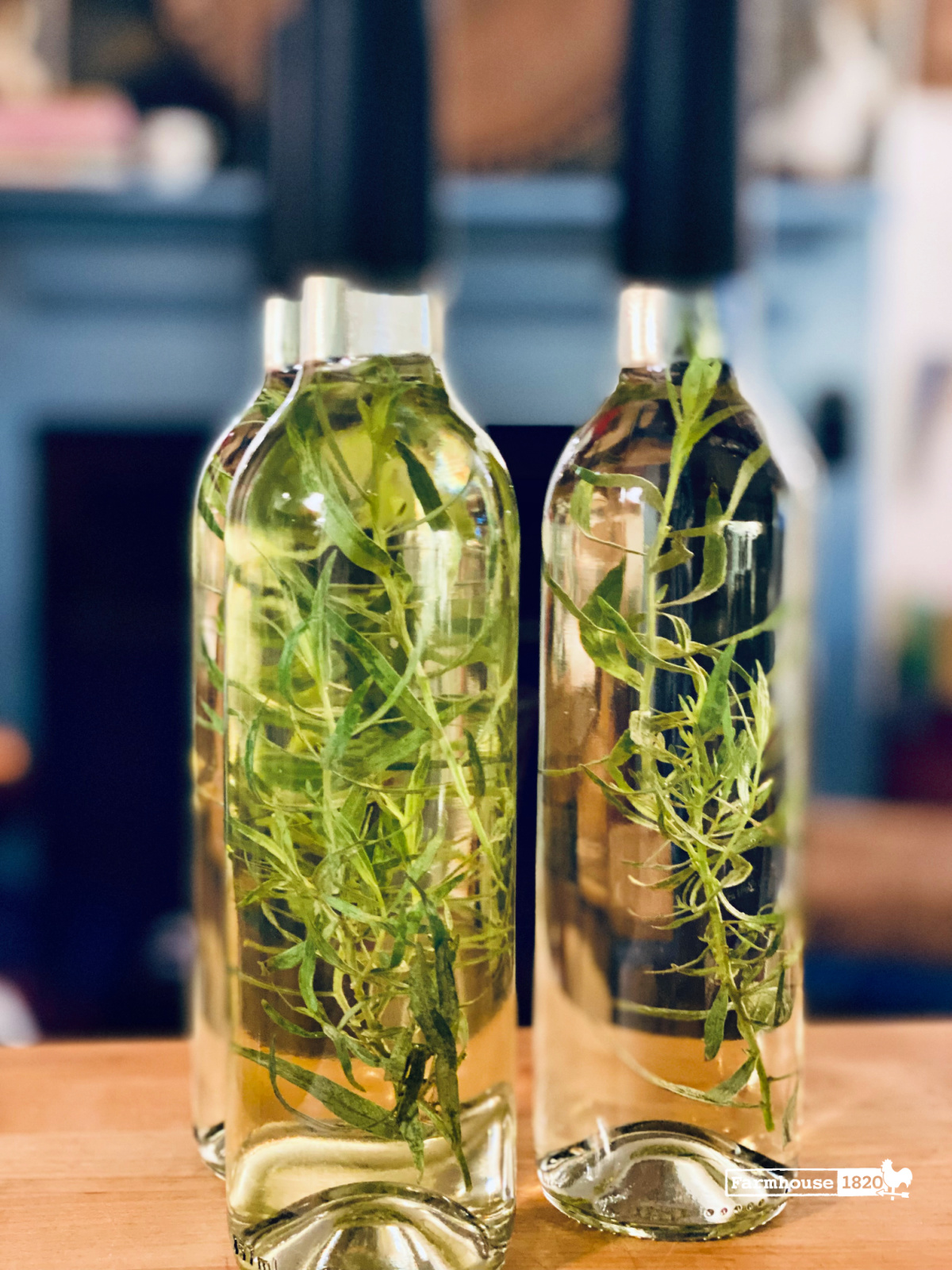 mason jars herbs vinegar cold infusion