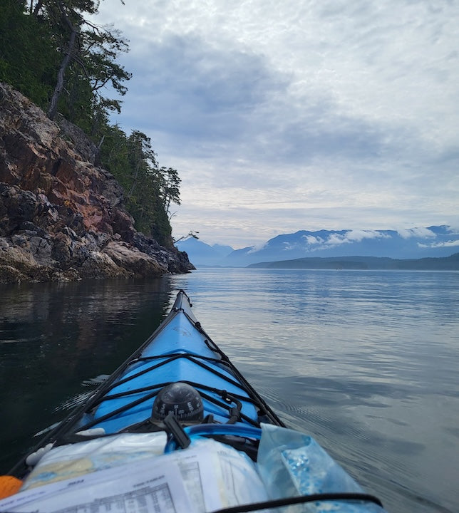 # A Solo Birdwatching & Digital Detox on Vancouver...