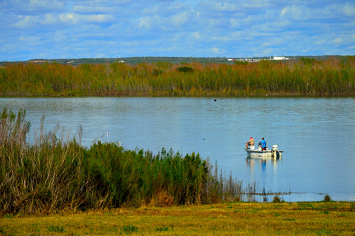 # Birdwatching Bliss at Choke Canyon State Park: A...