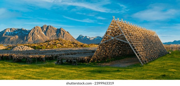 Snowshoers silhouetted against a vibrant display of the Northern Lights, with the warm glow of a bonfire in the foreground.