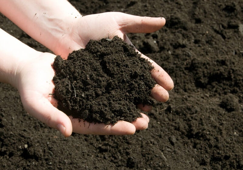 Simple composting tips, and organic soil amendments