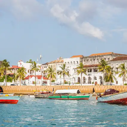 ## Zanzibar: A Sensory Symphony for the Soul (and...