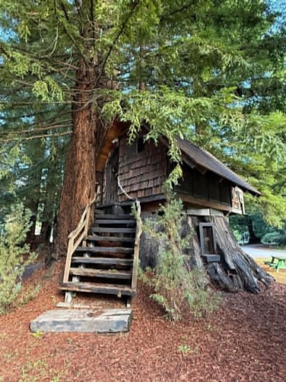 Redwood valley campground map