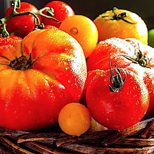 A vibrant photo of a late-summer garden overflowing with produce.