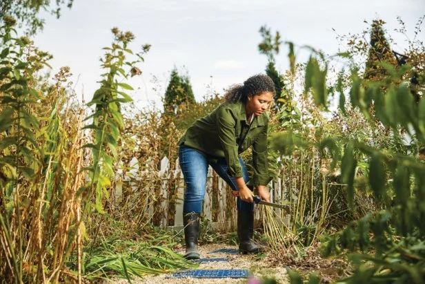 Gardener cutting back perennials in the garden