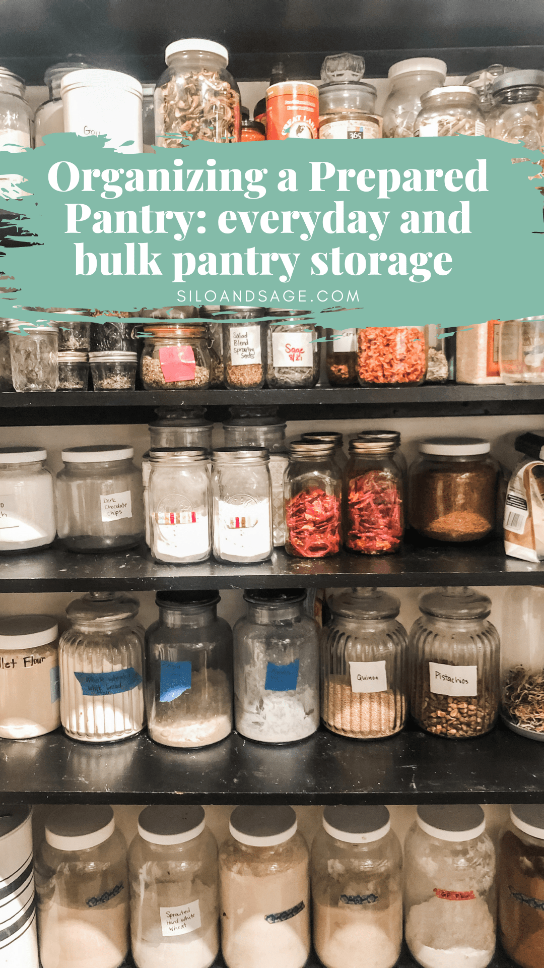 Autumn's Embrace: Preparing Your Homestead for...