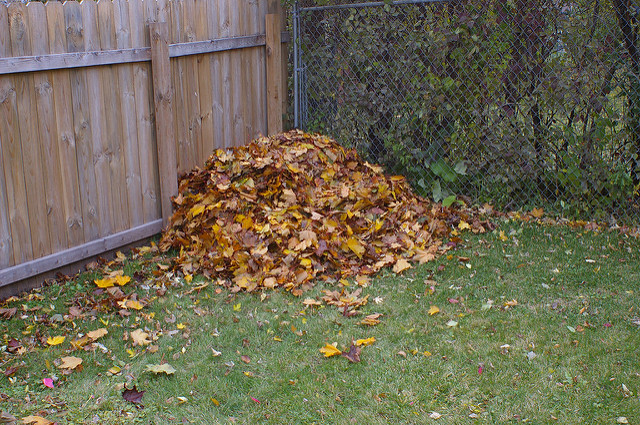 Autumn Gold: Unlock the Secret to Rich Compost a...