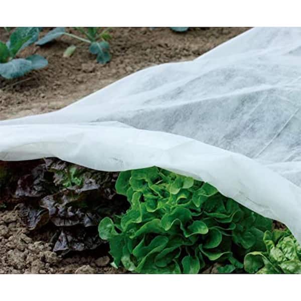 diy cold frame recycled windows garden