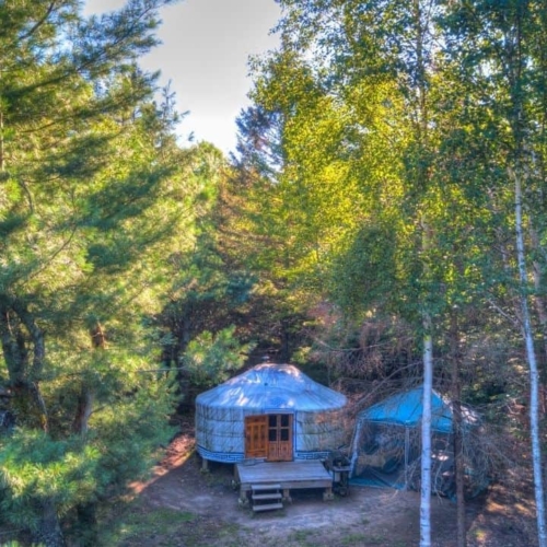 A warmly lit yurt nestled in a snow-covered clearing, with the star-filled Laurentian sky visible above. Capture the contrast between the cozy interior and the wild exterior.