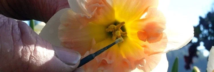 Reclaim Your Home & Grow Your Independence: DIY...