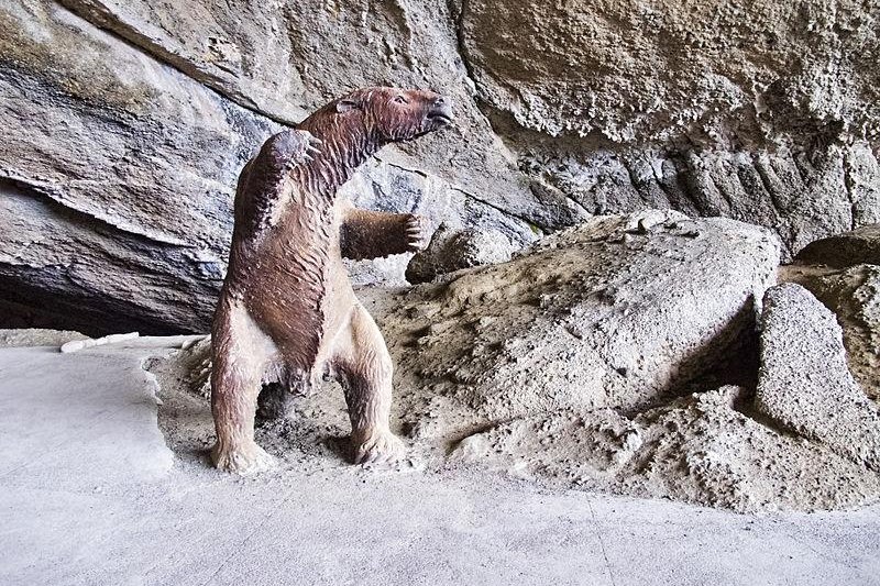 Family enjoying the sunset in Torres del Paine