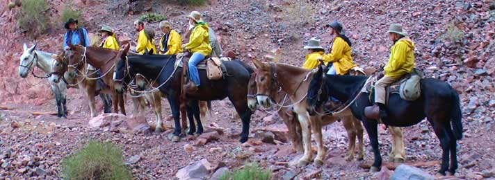 Secluded Viewpoint at the Grand Canyon