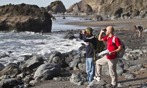 Citizen Scientists Participating in a Beach Cleanup