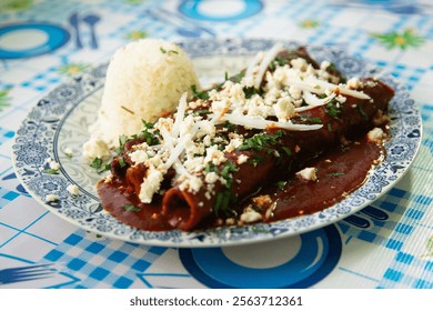A plate of Mole Negro con Pollo, showcasing the dark sauce coating tender chicken pieces.