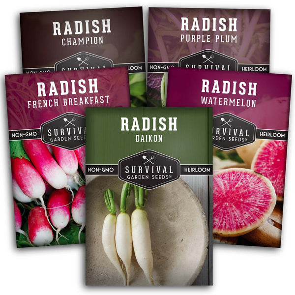 radish collection