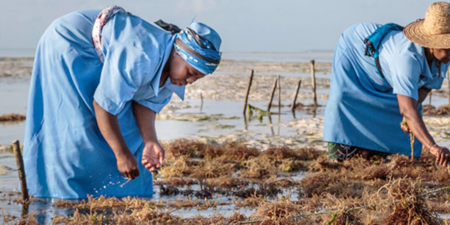 Pristine sailing conditions