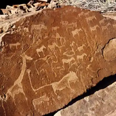 # Unique Desert Landscape Experiences: A Sensory &...