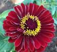 Ethical Homestead Shopping: A Beginner's Guide...
