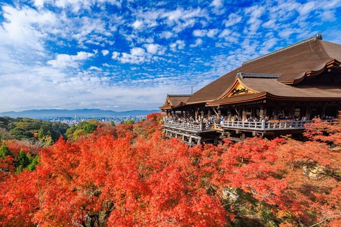 # Kyoto Autumn Photography: A Journey Through Colo...
