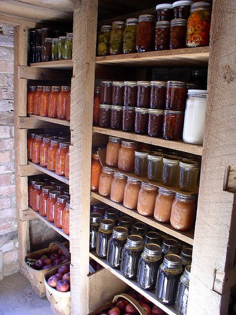 root cellar shelving filled