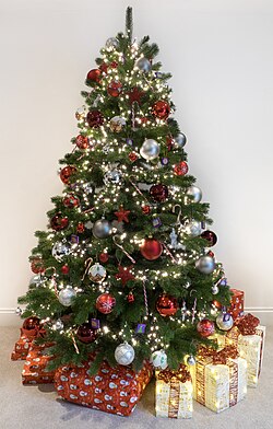 A Christmas tree adorned with natural decorations, emphasizing the beauty and simplicity of a natural Christmas theme