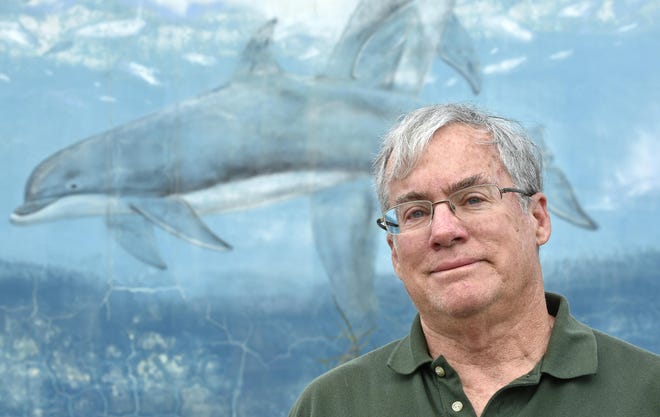 Snorkeler swimming alongside a whale shark in Isla Mujeres, Mexico